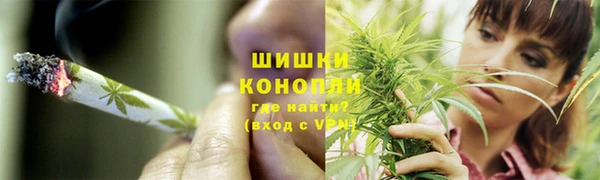 spice Алзамай