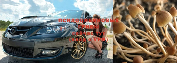 spice Алзамай